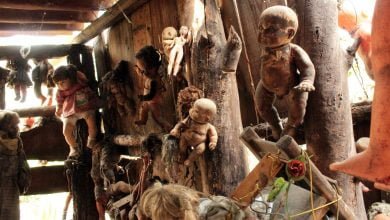 isla de las mu&ntilde;ecas