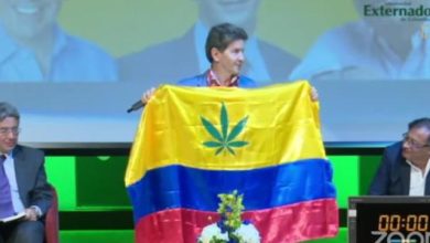 Luis P&eacute;rez propone incluir la marihuana en la bandera de Colombia