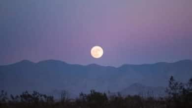 luna de gusano / eclipse penumbral