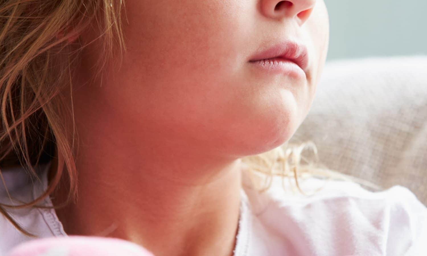 ni&ntilde;a castigo collar perro descargas el&eacute;ctricas