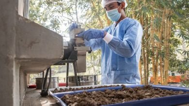 SENA convocatoria abierta hasta el 10 de marzo