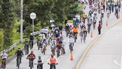 D&iacute;a del Trabajo