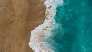 Por qu&eacute; el agua del mar es salada | como comenz&oacute; la vida