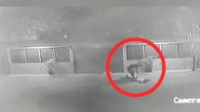 delincuentes extorsion