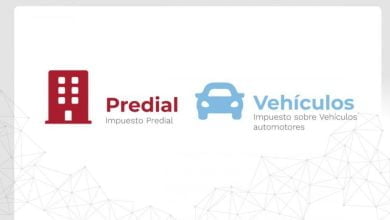 impuesto predial y vehicular en Bogot&aacute;