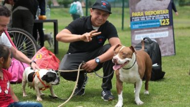 parques para mascotas
