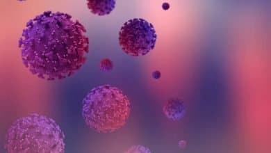 subvariante &oacute;micron XE