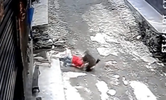 una ni&ntilde;a es raptada por un mono salvaje