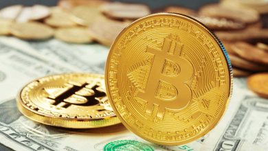 El bitcoin se desploma m&aacute;s del 50% por debajo de su m&aacute;ximo hist&oacute;rico y arrastra a otras criptomonedas