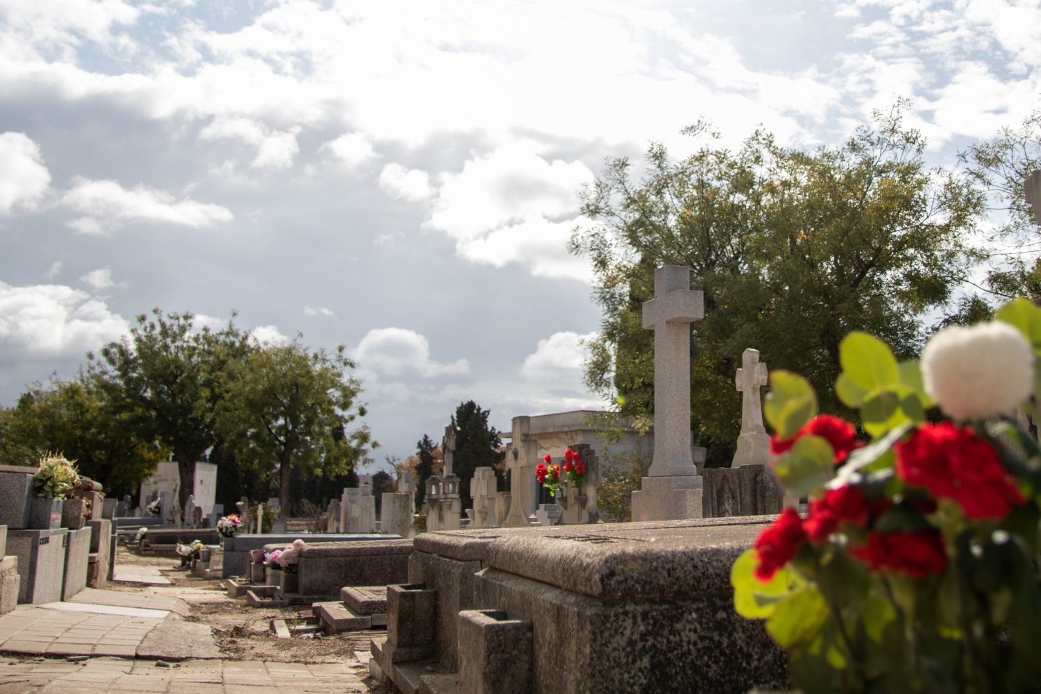 Hombre desenterró cinco cuerpos de un cementerio y asustó a la gente con los restos en la mano