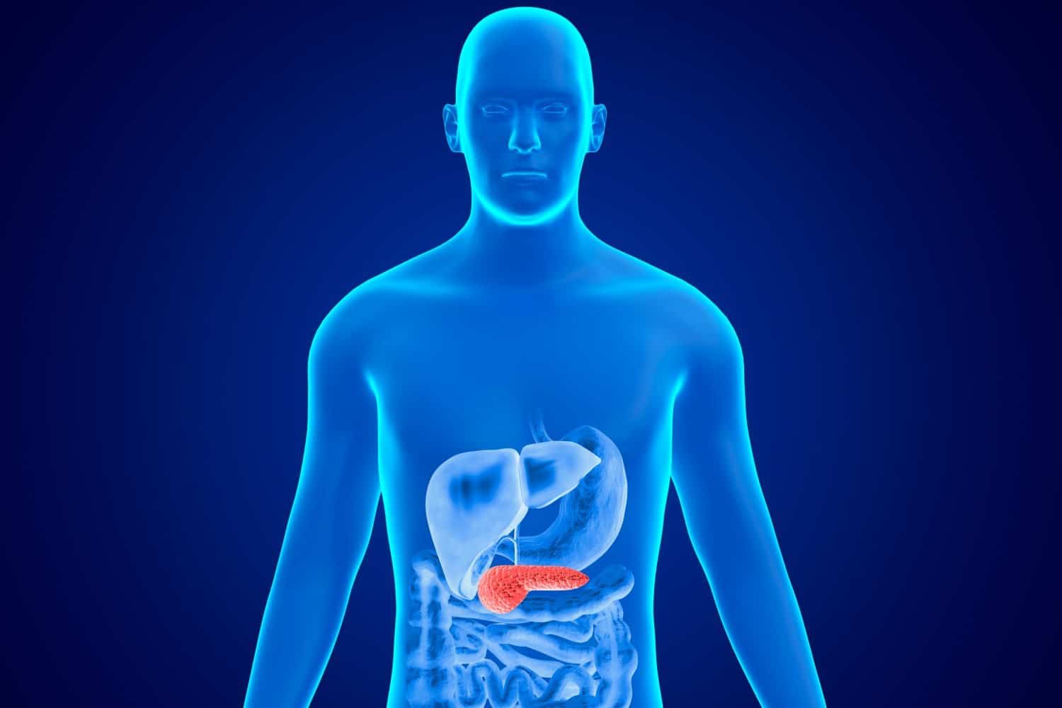 4 principales s&iacute;ntomas del c&aacute;ncer de p&aacute;ncreas que mucha gente ignora