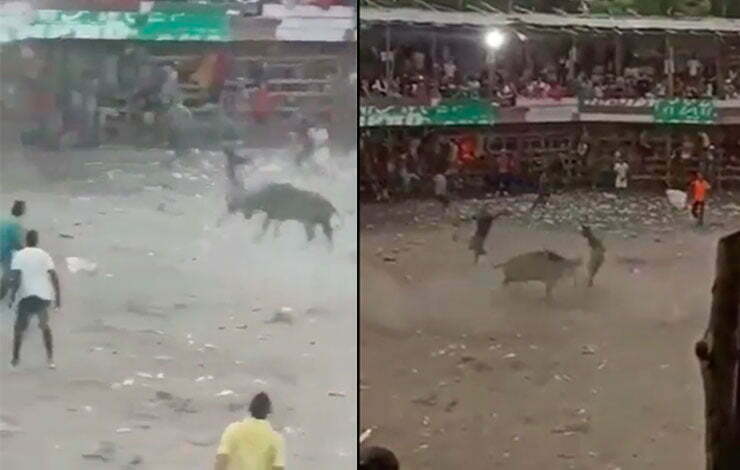 corralejas en Sabanagrande, Atl&aacute;ntico, dejan al menos 7 heridos