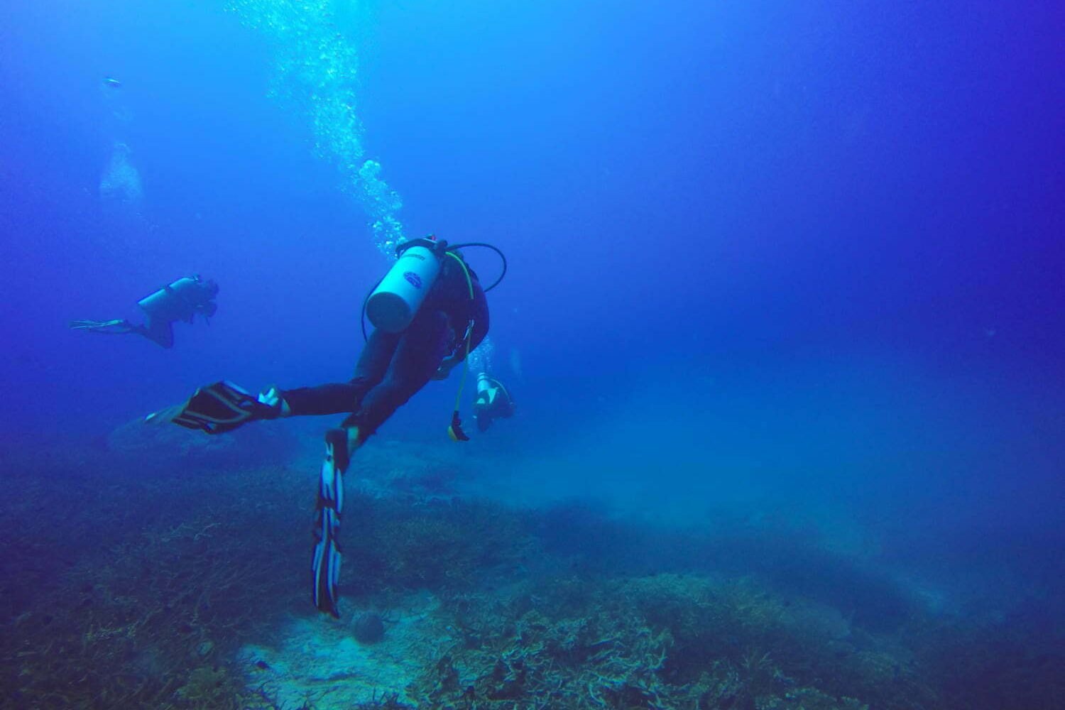 destinos ideales para bucear en Colombia