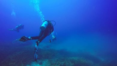 destinos ideales para bucear en Colombia