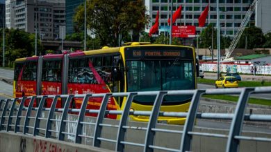 D&iacute;a de la Madre