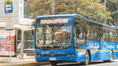 elecciones 29 de mayo