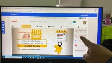 impuestos predial y de veh&iacute;culos