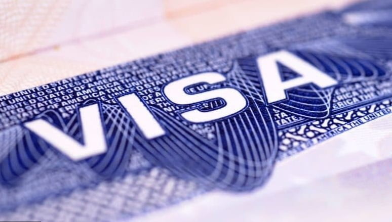 tramitar la visa - visa de turismo / visa / crucero / visa dorada