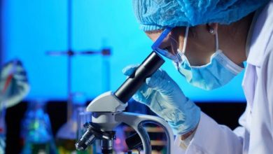 viruela del mono / viruela del mono en Argentina / viruela del mono