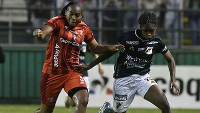 Liga Femenina de F&uacute;tbol