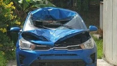 arroll&oacute; a un hombre y carg&oacute; con el cuerpo hasta su casa