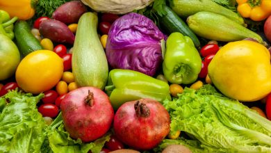 opciones de prote&iacute;na vegetal