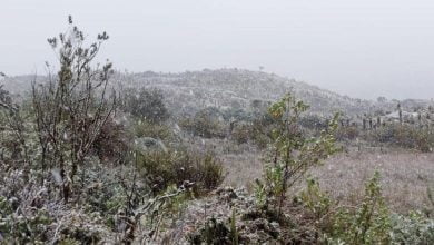 p&aacute;ramo Sumapaz