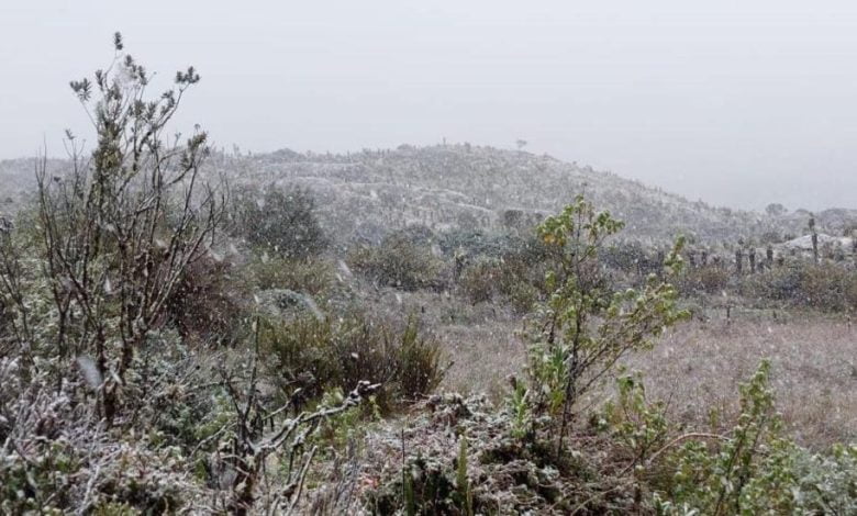 p&aacute;ramo Sumapaz