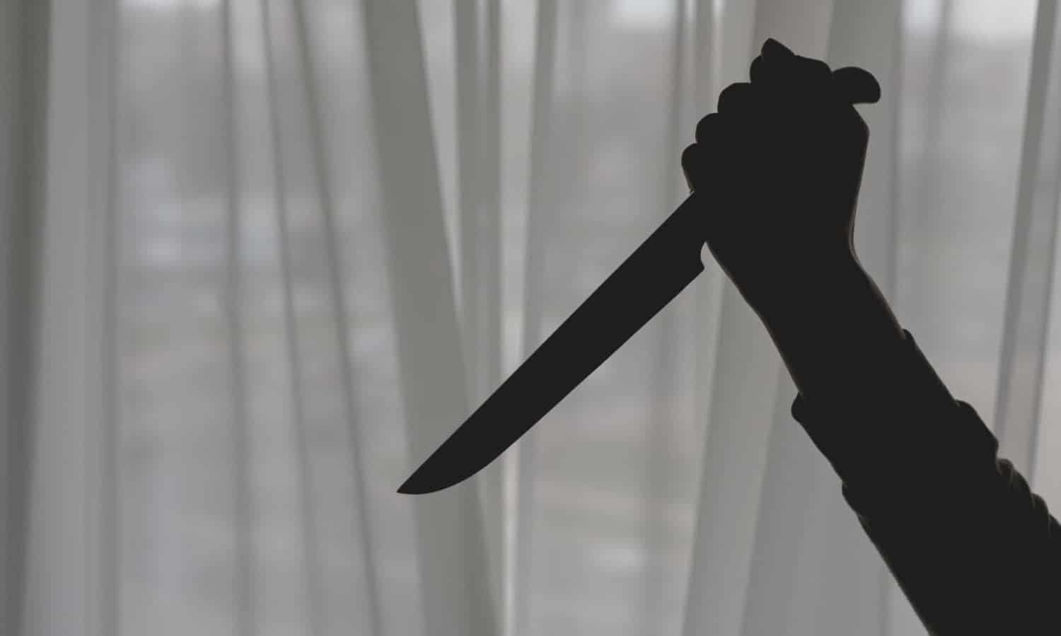 arma blanca madre hijo Bogot&aacute; hija | T&iacute;a oblig&oacute; a estudiar ataque motel nieto