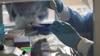 OMS advierte de una pandemia