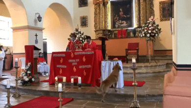 un perro entr&oacute; a la iglesia y se rob&oacute; el pan que sacerdote usaba en plena misa