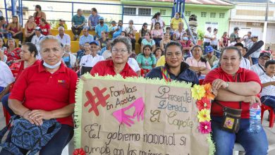 Familias en Acci&oacute;n