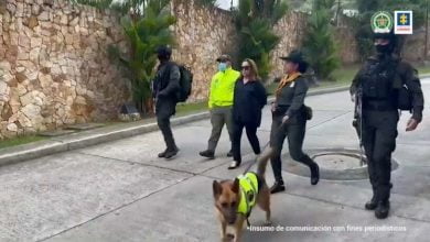 Nancy Teresa Gonz&aacute;lez / Nancy Gonz&aacute;lez