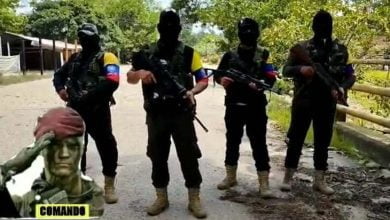 disidencias de las FARC