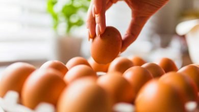 cuántos huevos a la semana comer - precio de los huevos - ¿Cómo saber si un huevo está en buen estado? Consejos y trucos - huevos todos los días