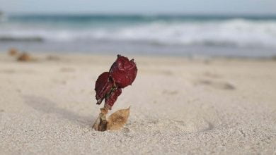 joven sin vida en playas de Riohacha / Inés Rafaela Álvarez Pérez