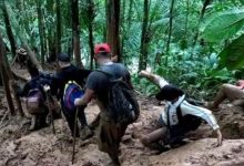 selva el Dari&eacute;n venezolanos