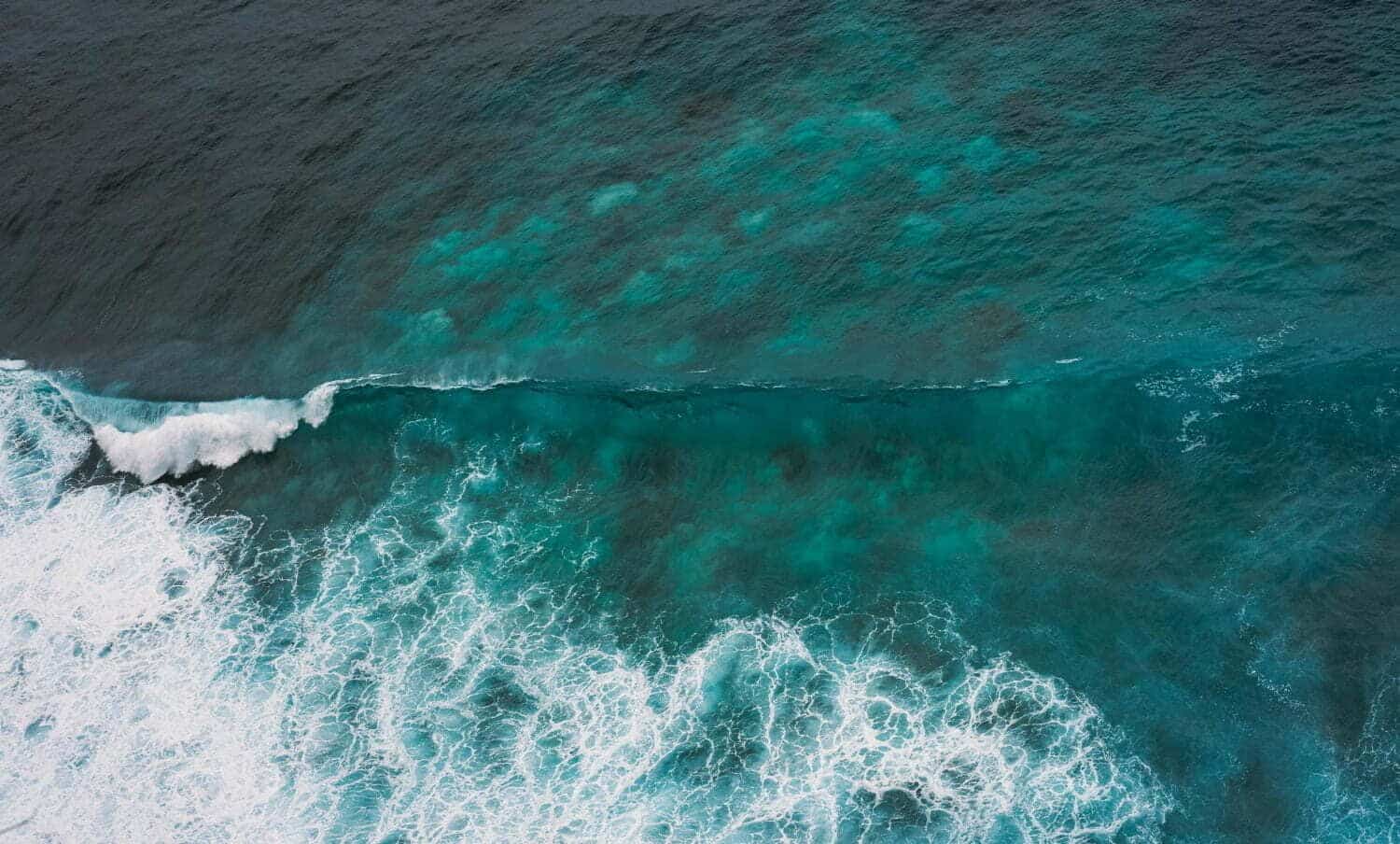 tormenta tropical Bonnie