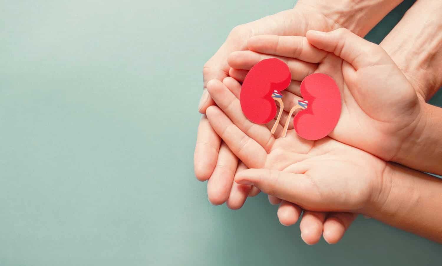 se&ntilde;ales de que los ri&ntilde;ones est&aacute;n fallando