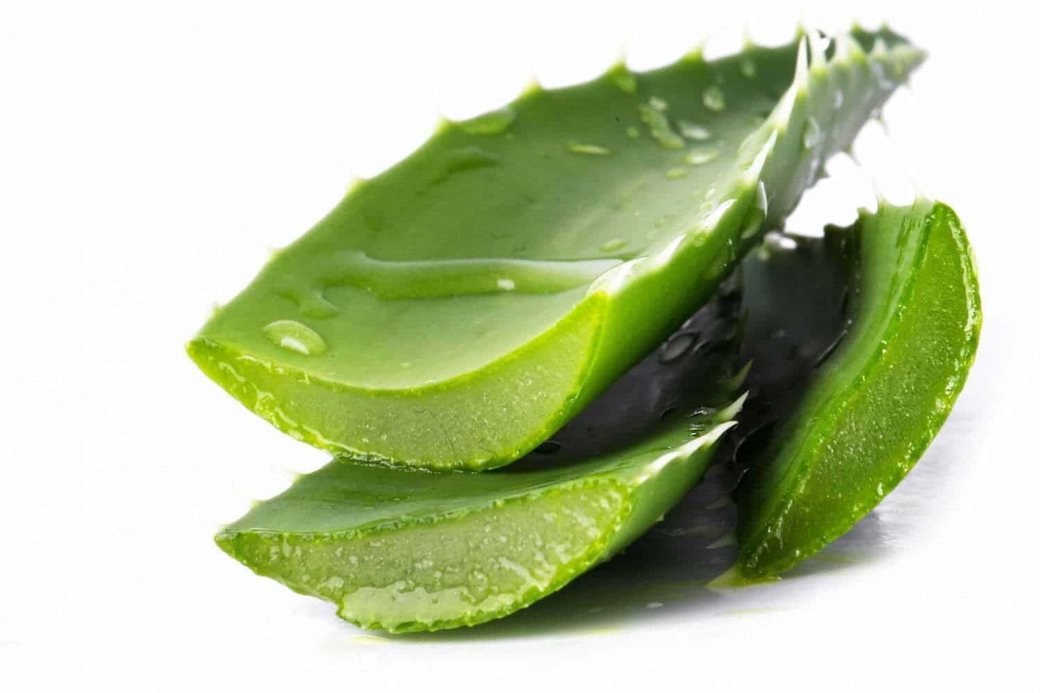 El aloe vera para el cabello