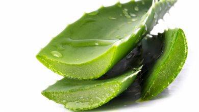 El aloe vera para el cabello