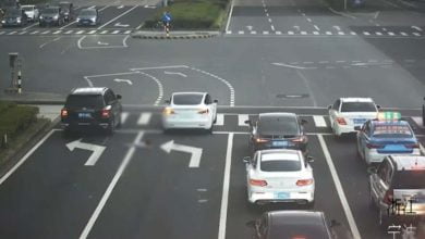 cay&oacute; por la ventana de un carro en movimiento