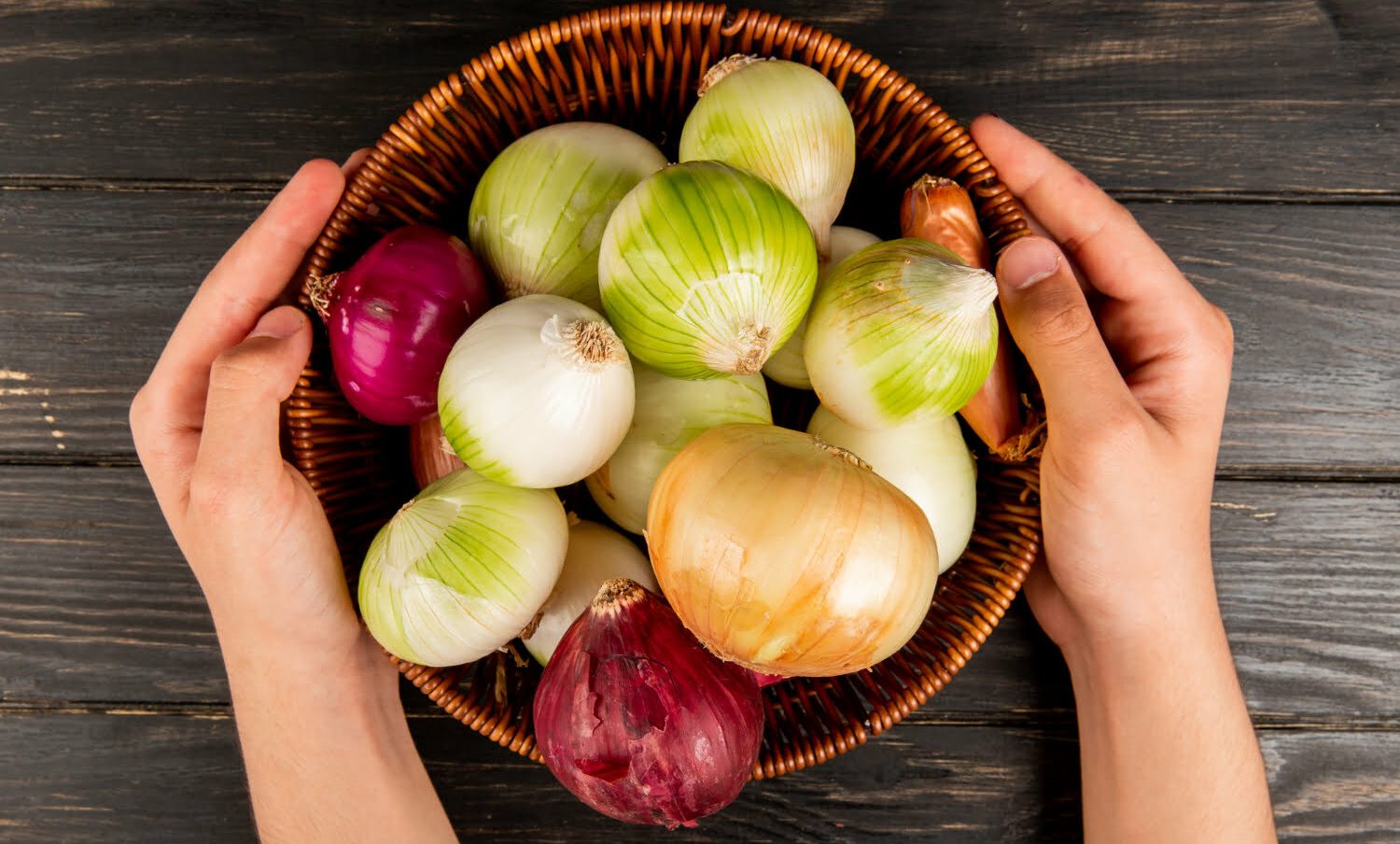 cebolla