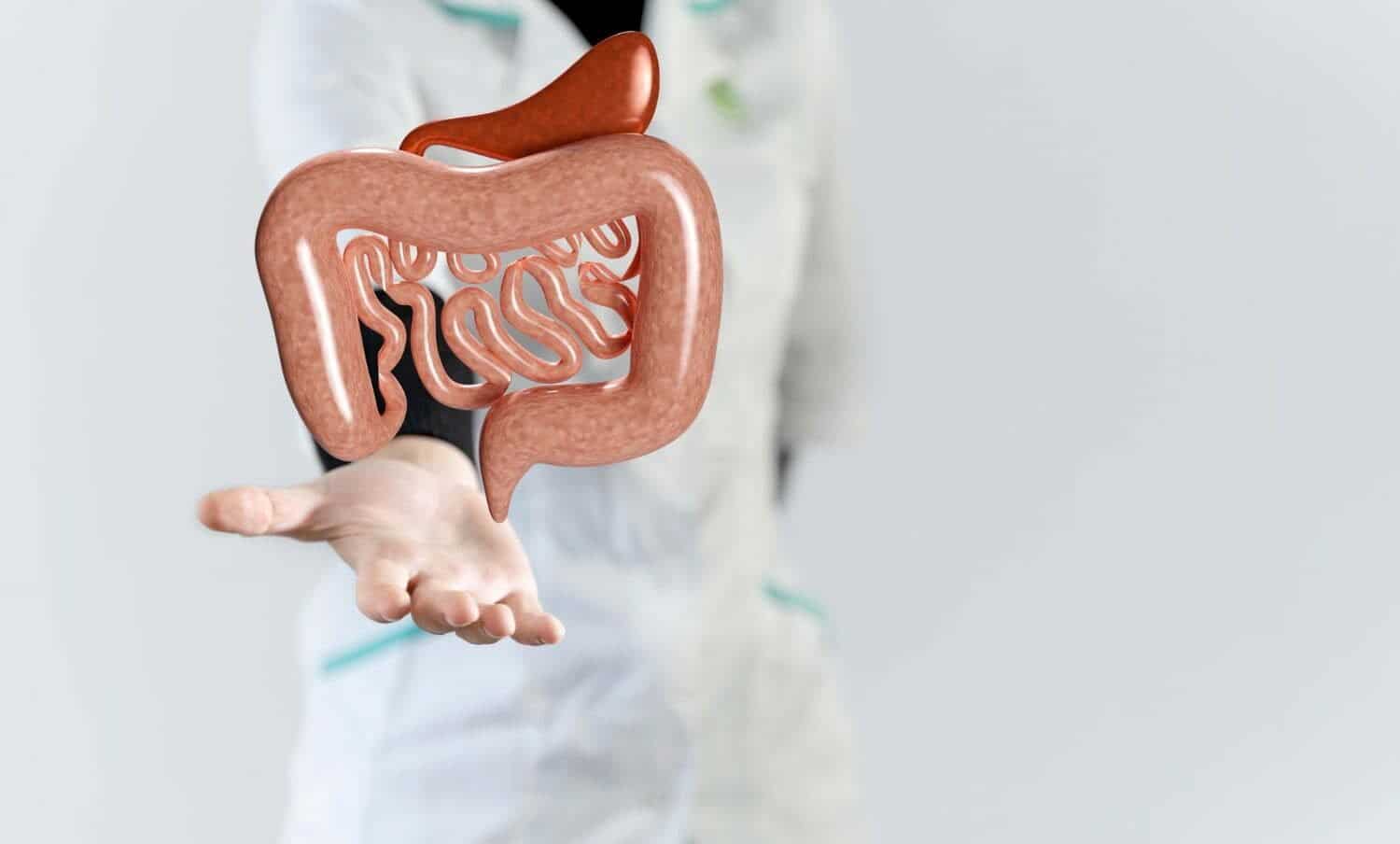 tr&aacute;nsito del intestino | microbiota intestinal | par&aacute;sitos intestinales