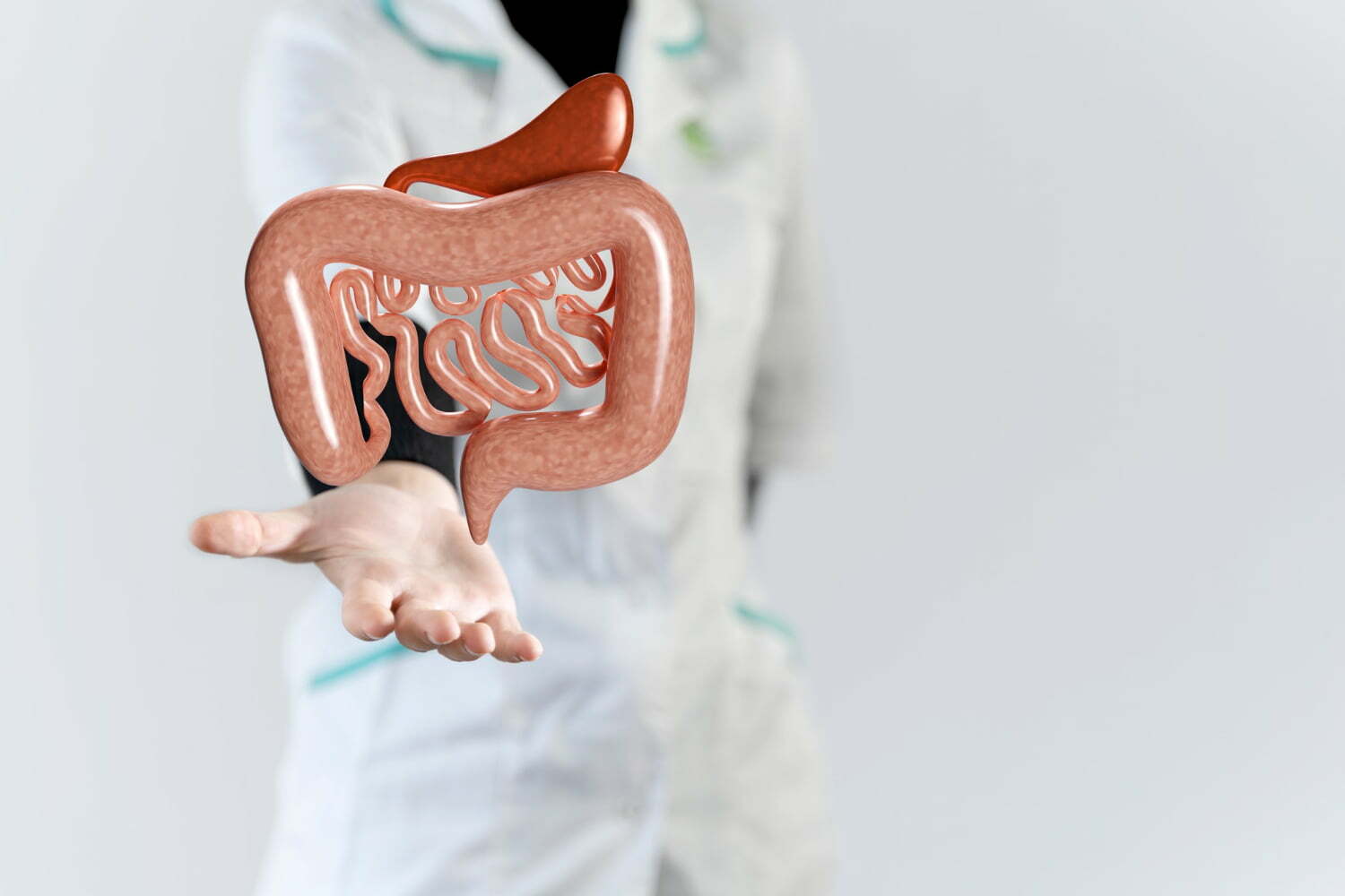 tr&aacute;nsito del intestino | microbiota intestinal | par&aacute;sitos intestinales