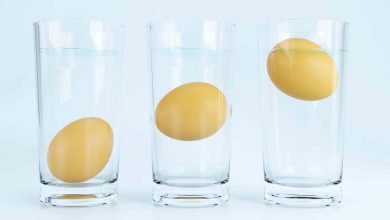 c&oacute;mo saber si los huevos est&aacute;n da&ntilde;ados