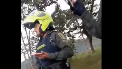 polic&iacute;a c&eacute;dula