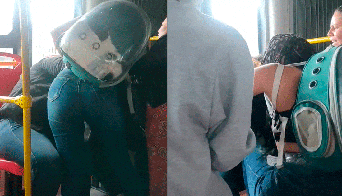 cuatro mujeres se pelearon por una silla en Transmilenio y un gato fue testigo