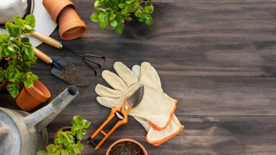 los peligros de la jardiner&iacute;a