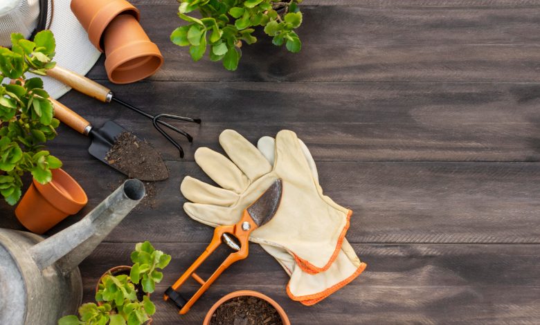 los peligros de la jardinería